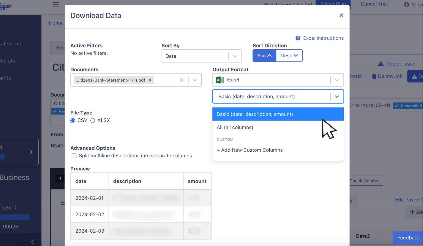 Configure dates and formats of bank statement spreadsheet