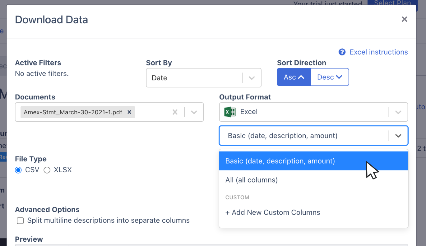 Edit columns of Amex Bank Statement spreadsheet