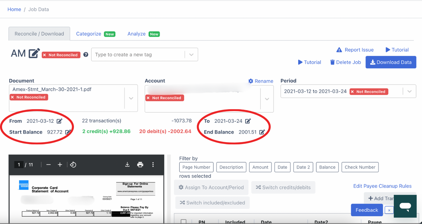 Edit fields to reconcile amex bank statement