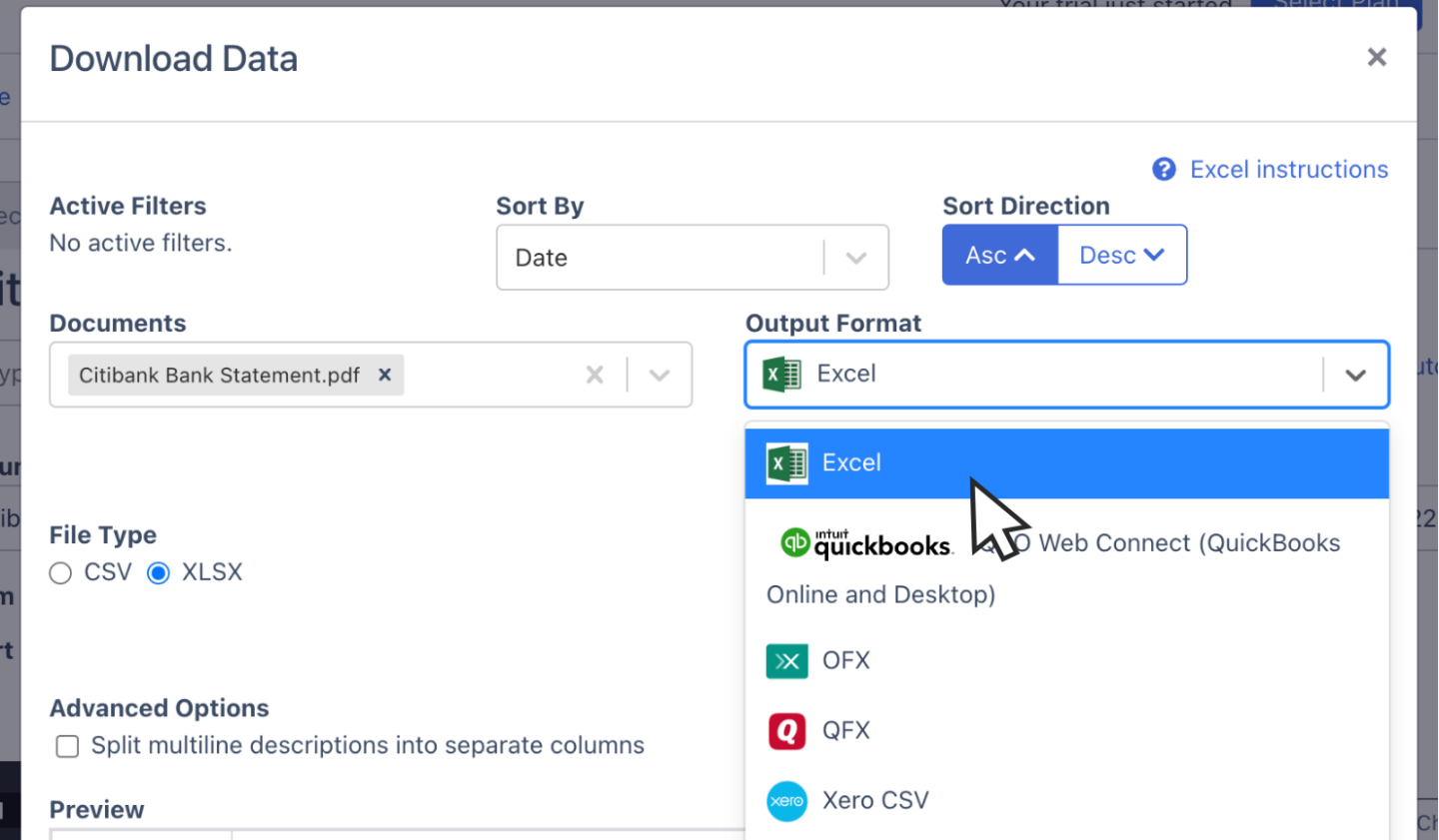 Export citibank bank statement as Excel