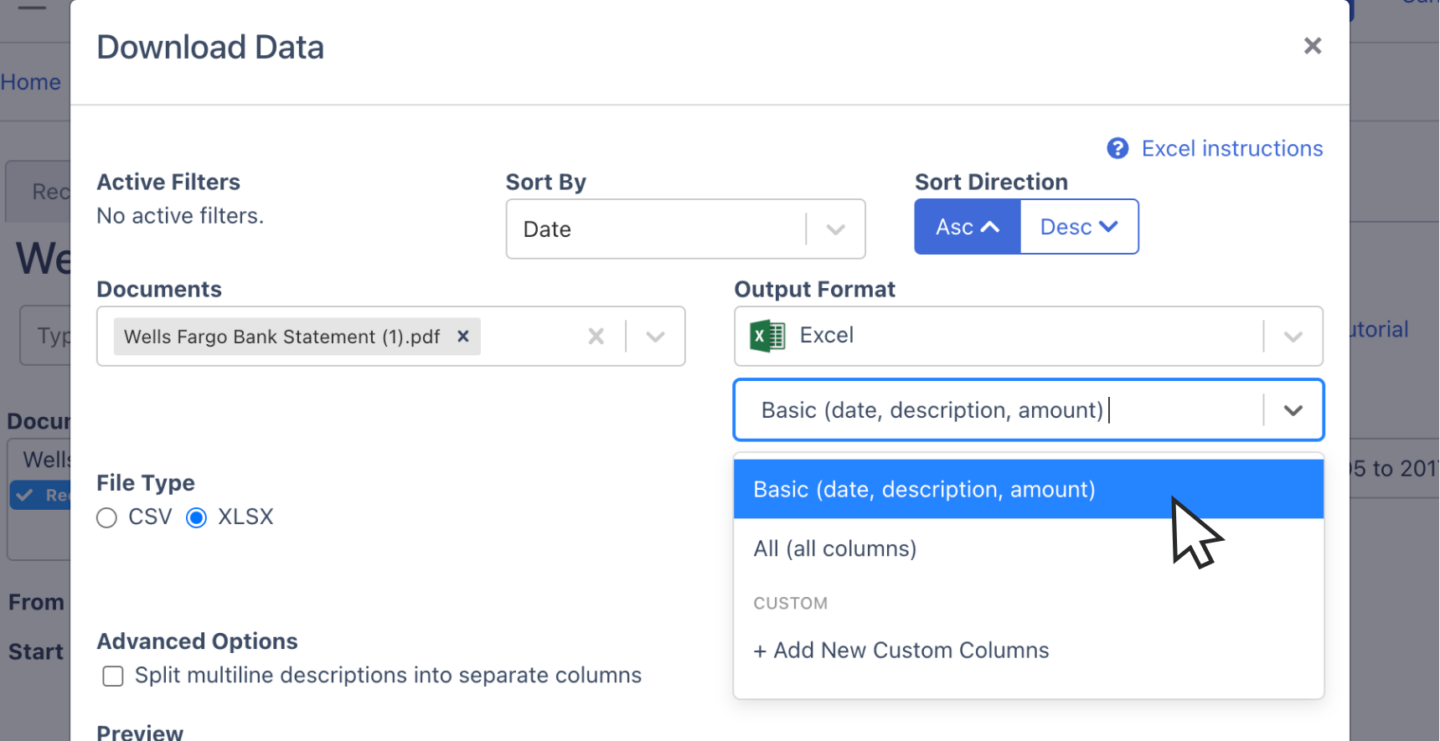 configure output of wells fargo bank statement spreadsheet